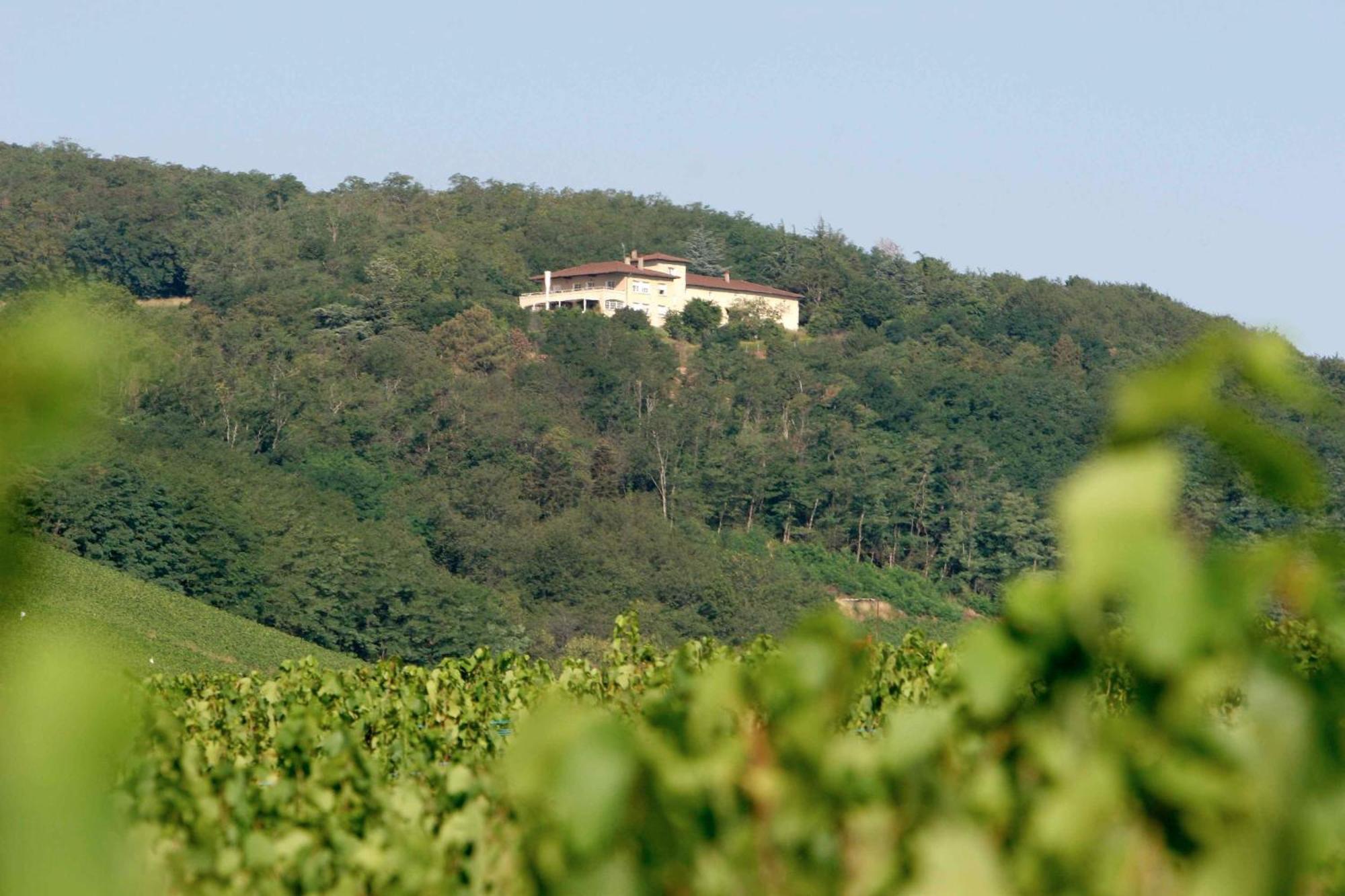 Auberge Les Hauts De Chenas Chénas Exterior foto